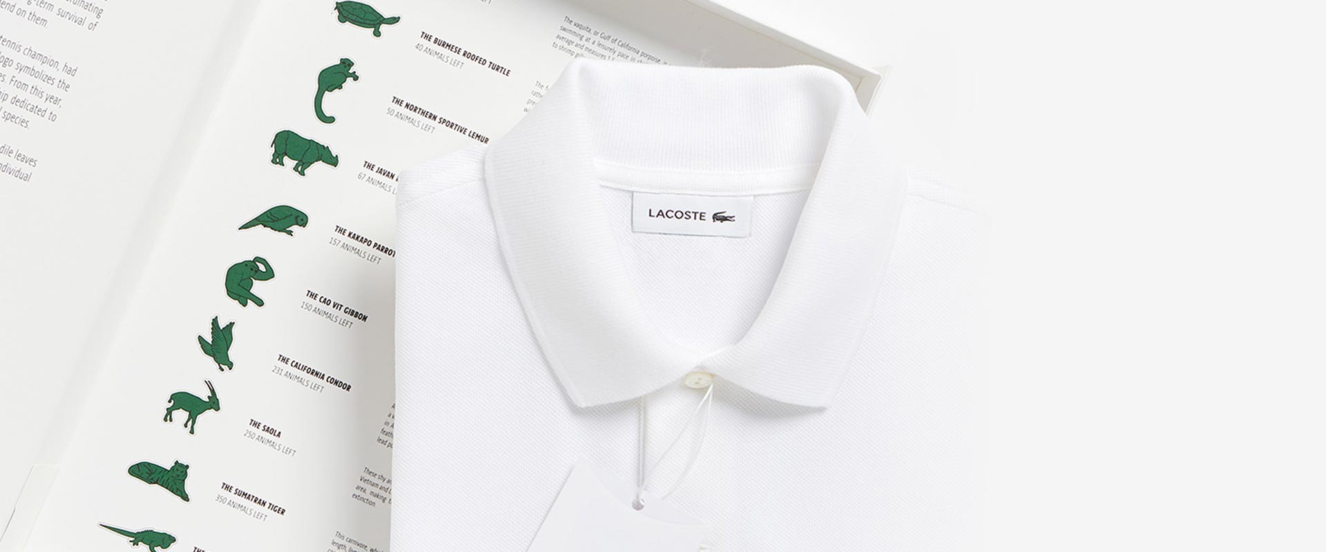 © Lacoste.com